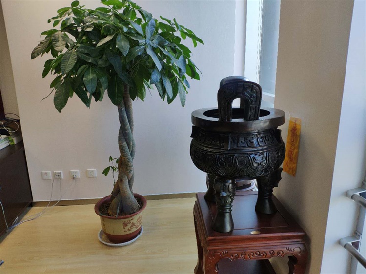 案例